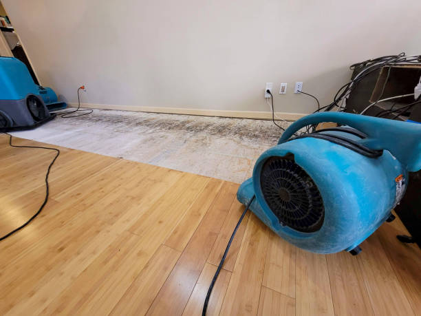 Professional Sewage Cleanup technician working in Marcus, IA